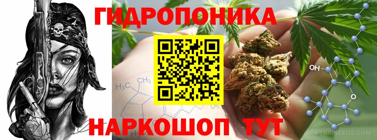 Канабис сатива Ступино